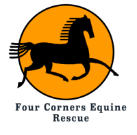 Four Corners Equine Rescue